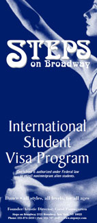 ISVP brochure